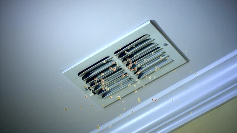 Best Home Air Vent Cleaning  in Croom, MD