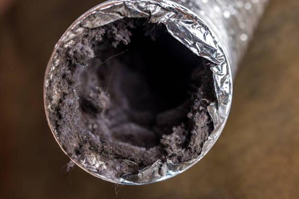 Air Duct Mold Removal in Croom, MD